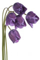 Tulip Wall Decal