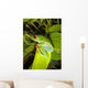 Red-eyed Tree Frog Wall Decal 5