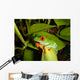 Red-eyed Tree Frog Wall Decal 4