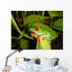 Red-eyed Tree Frog Wall Decal 4