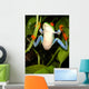 Red-eyed Tree Frog Wall Decal 2
