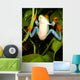 Red-eyed Tree Frog Wall Decal 2