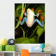 Red-eyed Tree Frog Wall Decal 2