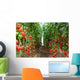 Tomatoes Ripening Greenhouse Ukraine Wall Decal