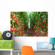 Tomatoes Ripening Greenhouse Ukraine Wall Decal