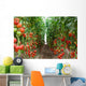 Tomatoes Ripening Greenhouse Ukraine Wall Decal