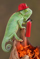 Chameleon Firefighter Wall Decal