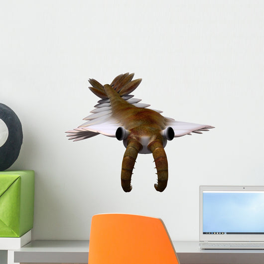 Cambrian Anomalocaris Wall Decal