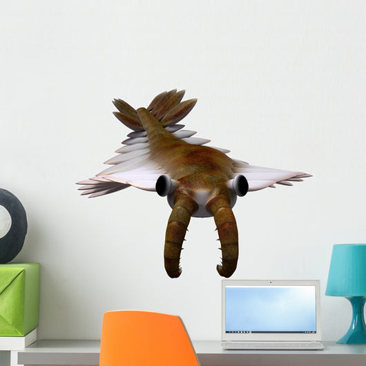 Cambrian Anomalocaris Wall Decal