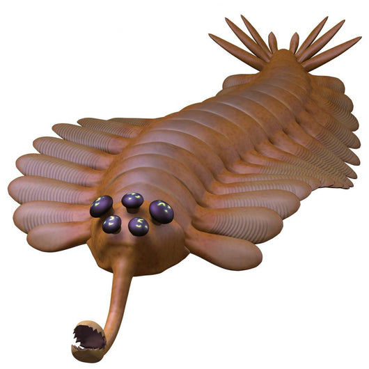 Cambrian Opabinia Wall Decal