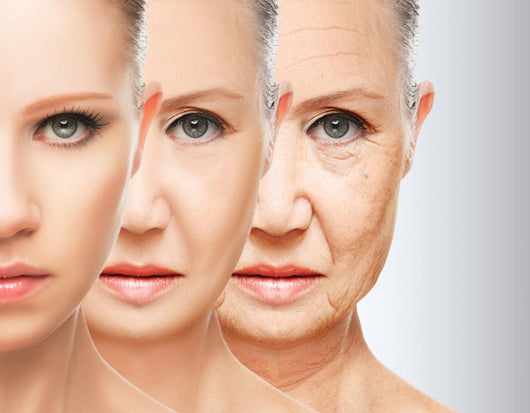 Beauty Concept Skin Aging Wall Decal