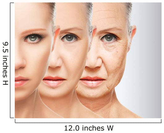 Beauty Concept Skin Aging Wall Decal