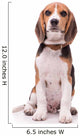 Little Beagle Sitting Wall Decal