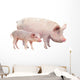 Pig Wall Decal
