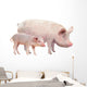 Pig Wall Decal