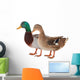 Duck Wall Decal