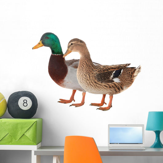 Duck Wall Decal