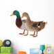 Duck Wall Decal