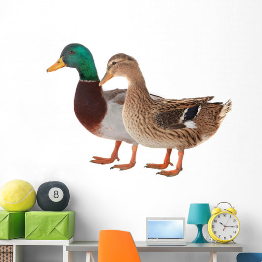 Duck Wall Decal