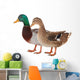Duck Wall Decal