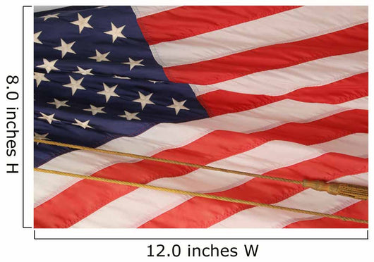 flag 1	 Wall Mural