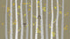 Vector Birch or Aspen Wall Decal