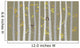 Vector Birch or Aspen Wall Decal