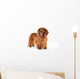 Brown Long-Haired Dachshund Wall Decal