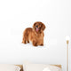 Brown Long-Haired Dachshund Wall Decal