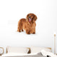 Brown Long-Haired Dachshund Wall Decal