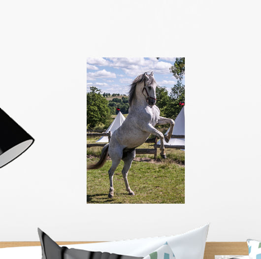 Rearing Horse Wall Decal