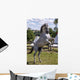 Rearing Horse Wall Decal