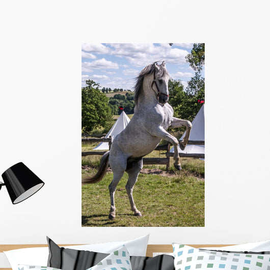 Rearing Horse Wall Decal