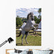 Rearing Horse Wall Decal