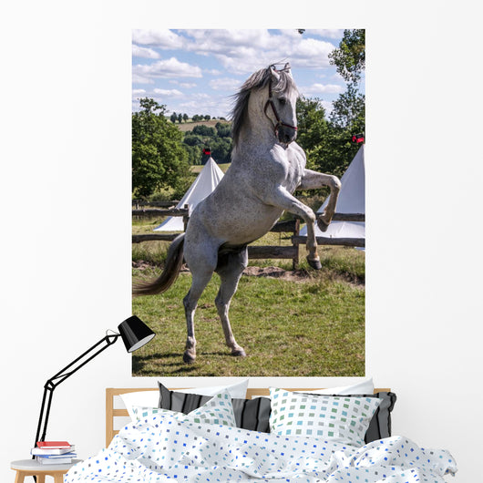 Rearing Horse Wall Decal