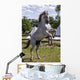 Rearing Horse Wall Decal