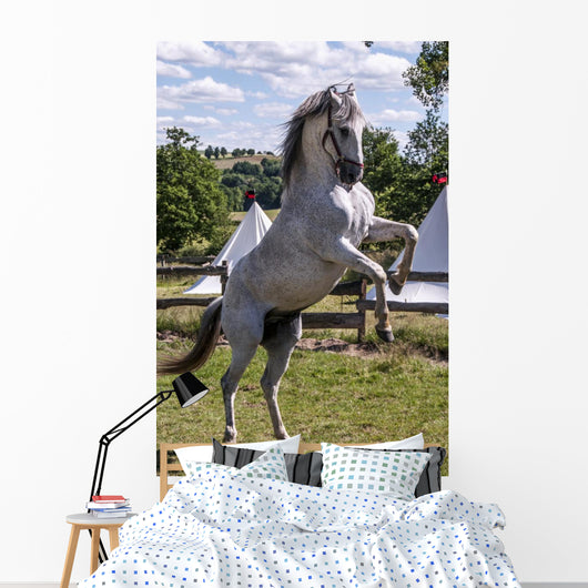 Rearing Horse Wall Decal