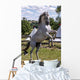 Rearing Horse Wall Decal