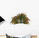 Indian Peafowl Wall Decal