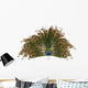 Indian Peafowl Wall Decal