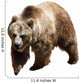 Bear White Wall Decal