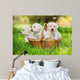 Three Puppies Basket Wall Decal