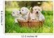 Three Puppies Basket Wall Decal