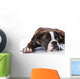 Boxer Dog Studio Wall Decal