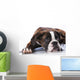 Boxer Dog Studio Wall Decal