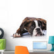 Boxer Dog Studio Wall Decal