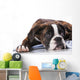 Boxer Dog Studio Wall Decal