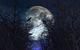 Spooky with Crows Trees Wall Decal