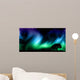 Night sky with norther lights with tree silhouettes Wall Mural