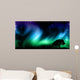 Night sky with norther lights with tree silhouettes Wall Mural